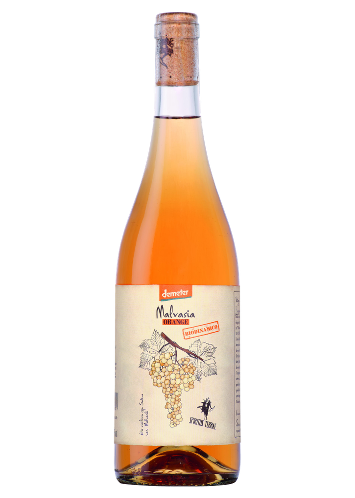SPIRITUS TERRAE Malvasia Orange 2023